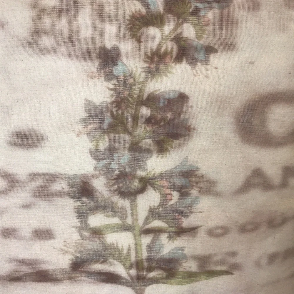 NWOT French Naturalist Botanical Box Pillow